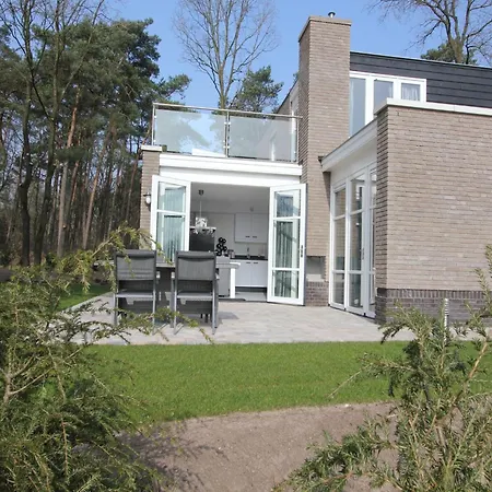 Beautiful On The Veluwe *