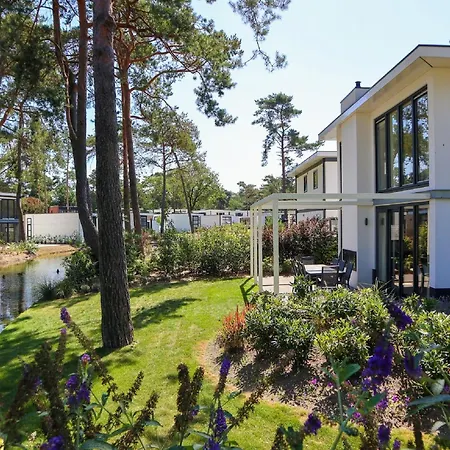 Beautiful On The Veluwe