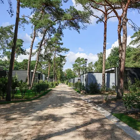 Beautiful On The Veluwe *