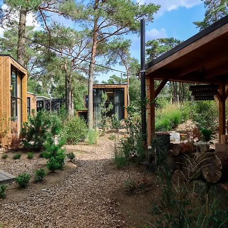 Beautiful On The Veluwe Otterlo