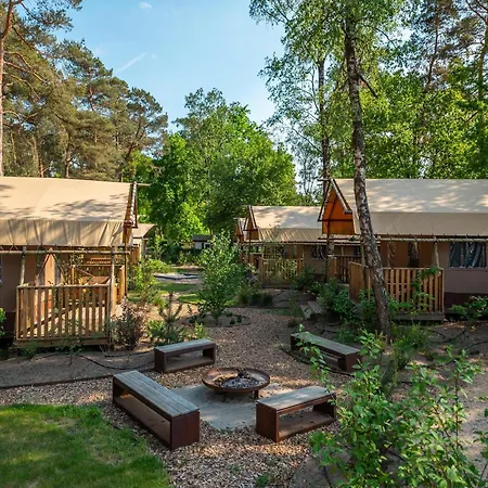 Beautiful On The Veluwe Villa